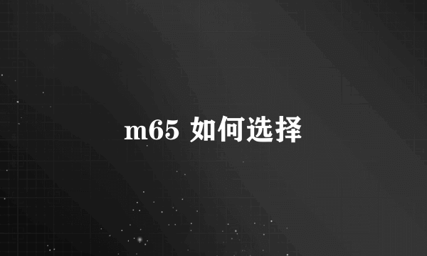 m65 如何选择