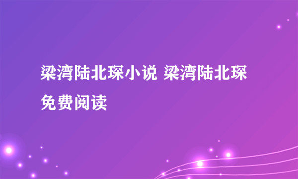 梁湾陆北琛小说 梁湾陆北琛免费阅读