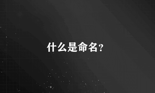 什么是命名？