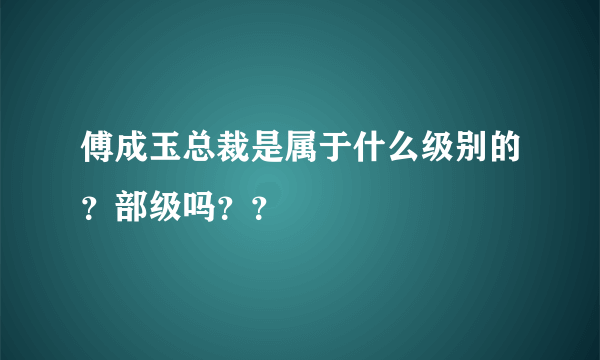 傅成玉总裁是属于什么级别的？部级吗？？