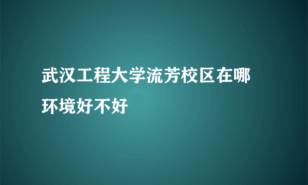 武汉工程大学流芳校区在哪 环境好不好