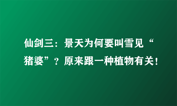 仙剑三：景天为何要叫雪见“猪婆”？原来跟一种植物有关！