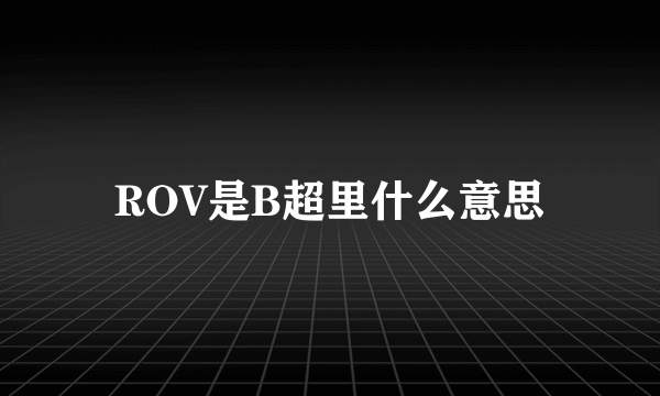 ROV是B超里什么意思