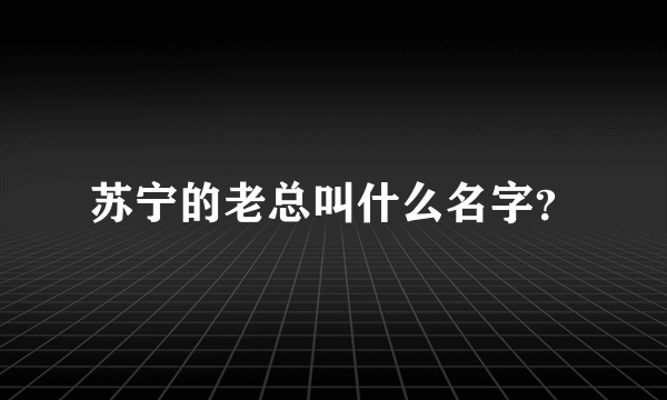 苏宁的老总叫什么名字？