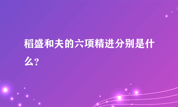 稻盛和夫的六项精进分别是什么？