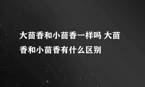 大茴香和小茴香一样吗 大茴香和小茴香有什么区别