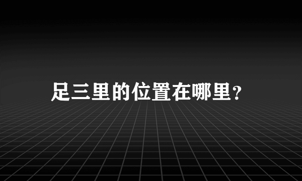 足三里的位置在哪里？