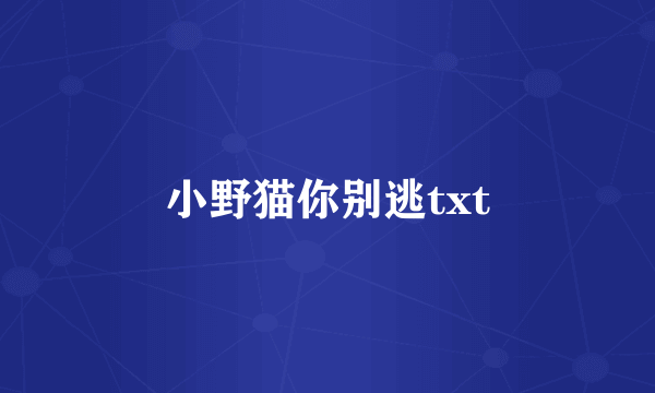 小野猫你别逃txt