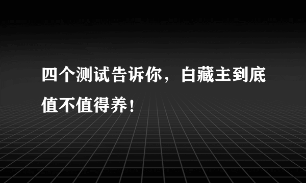 四个测试告诉你，白藏主到底值不值得养！