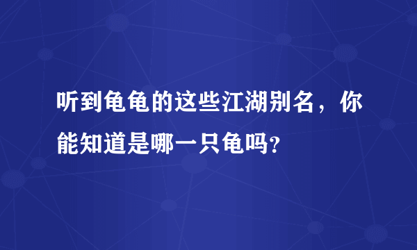 听到龟龟的这些江湖别名，你能知道是哪一只龟吗？