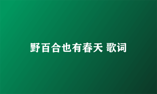 野百合也有春天 歌词