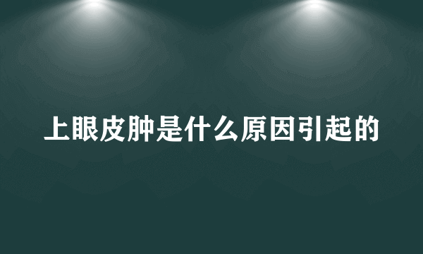 上眼皮肿是什么原因引起的