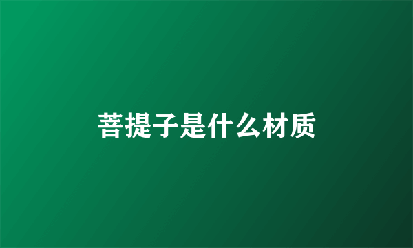 菩提子是什么材质