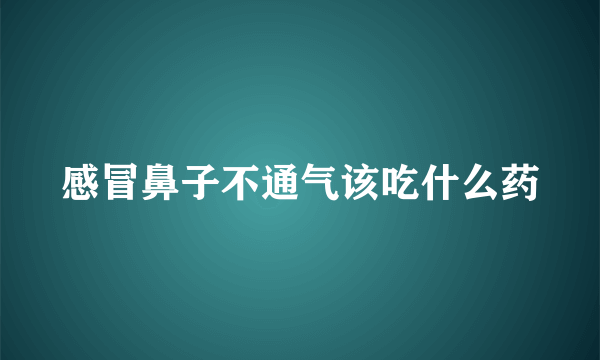 感冒鼻子不通气该吃什么药