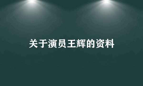 关于演员王辉的资料