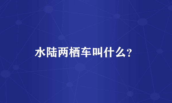 水陆两栖车叫什么？