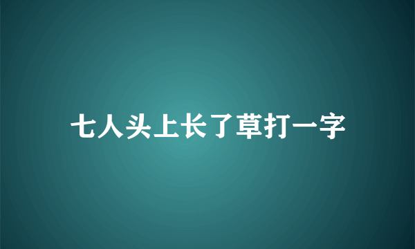 七人头上长了草打一字