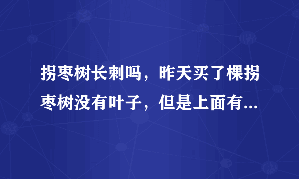 拐枣树长刺吗，昨天买了棵拐枣树没有叶子，但是上面有刺不知道是真是假