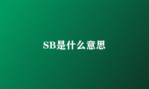 SB是什么意思