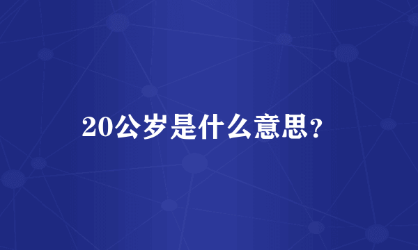 20公岁是什么意思？