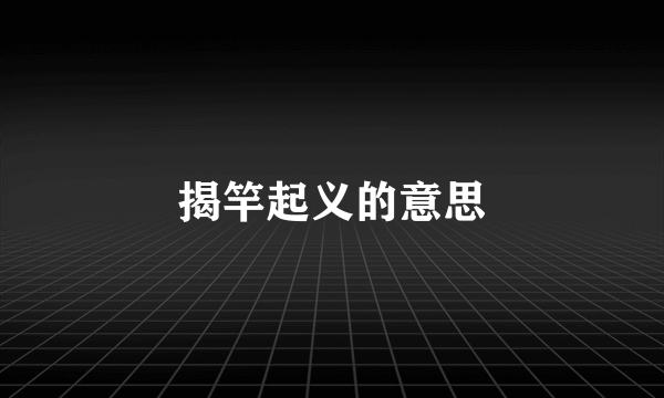 揭竿起义的意思