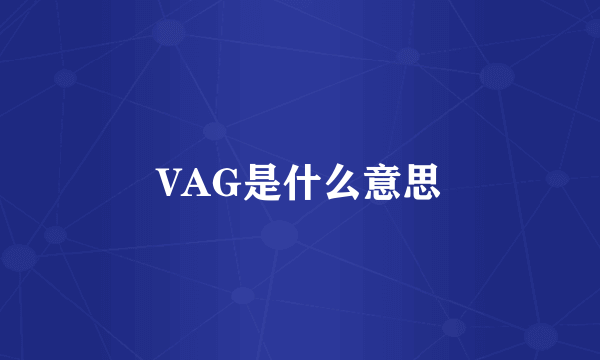 VAG是什么意思