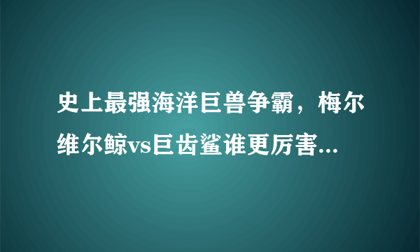 史上最强海洋巨兽争霸，梅尔维尔鲸vs巨齿鲨谁更厉害(全面分析)