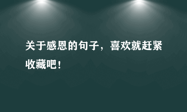 关于感恩的句子，喜欢就赶紧收藏吧！