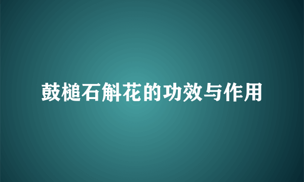 鼓槌石斛花的功效与作用