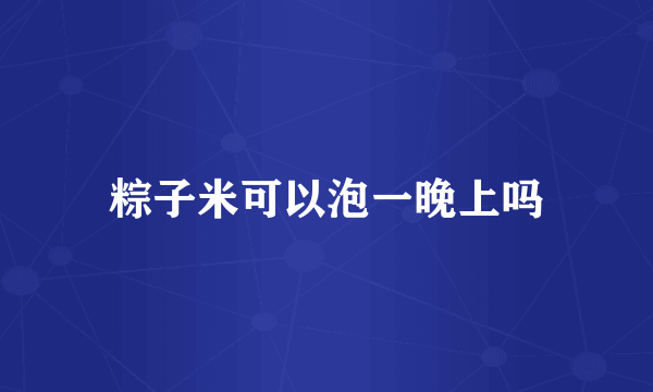 粽子米可以泡一晚上吗