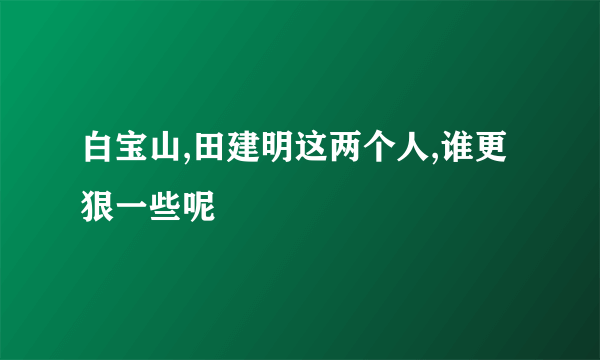 白宝山,田建明这两个人,谁更狠一些呢