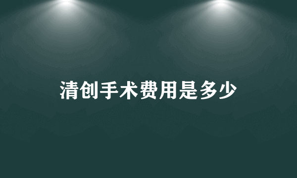 清创手术费用是多少