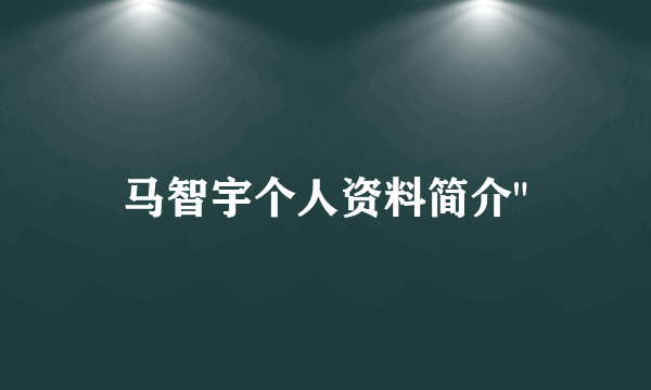 马智宇个人资料简介