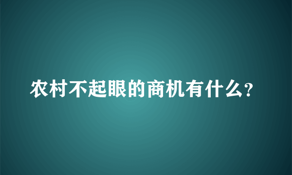 农村不起眼的商机有什么？