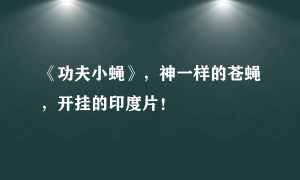 《功夫小蝇》，神一样的苍蝇，开挂的印度片！