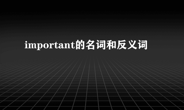 important的名词和反义词