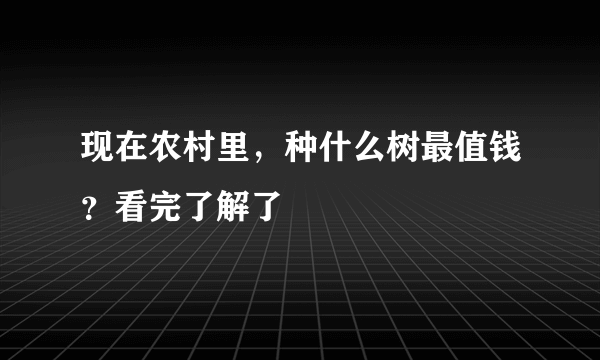 现在农村里，种什么树最值钱？看完了解了