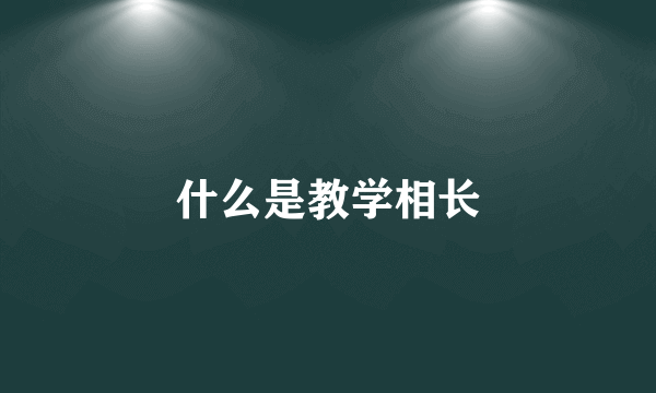 什么是教学相长