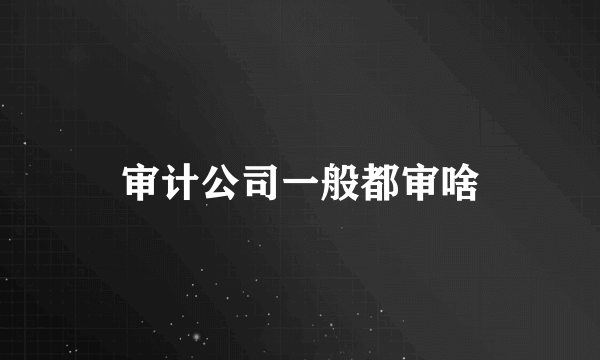 审计公司一般都审啥