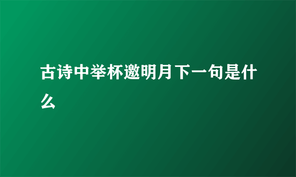 古诗中举杯邀明月下一句是什么