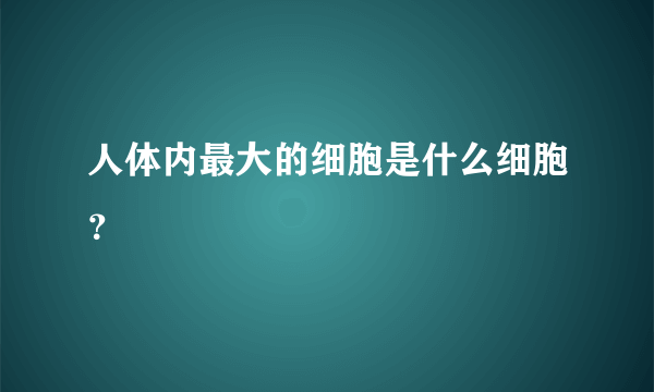 人体内最大的细胞是什么细胞？