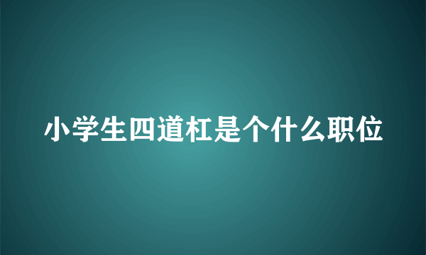 小学生四道杠是个什么职位