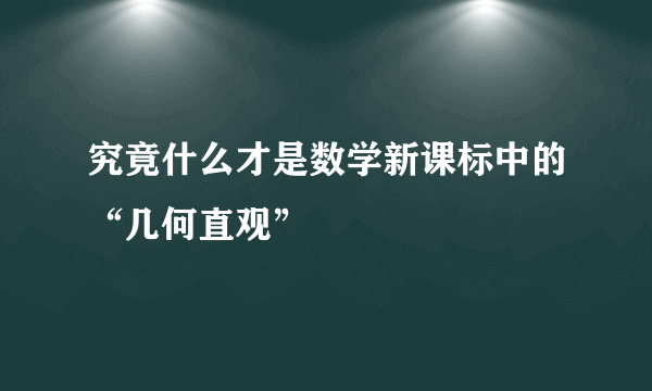 究竟什么才是数学新课标中的“几何直观”