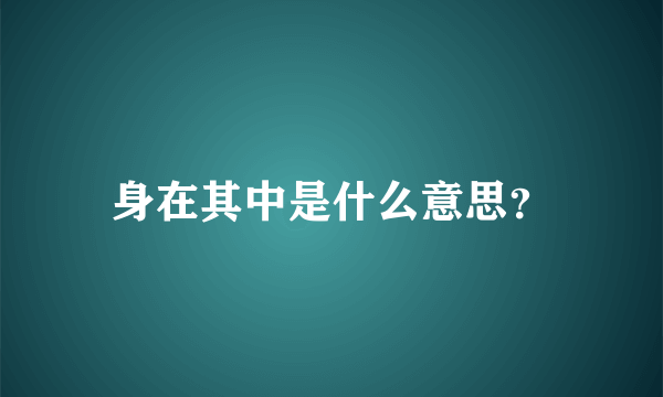 身在其中是什么意思？