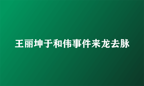 王丽坤于和伟事件来龙去脉