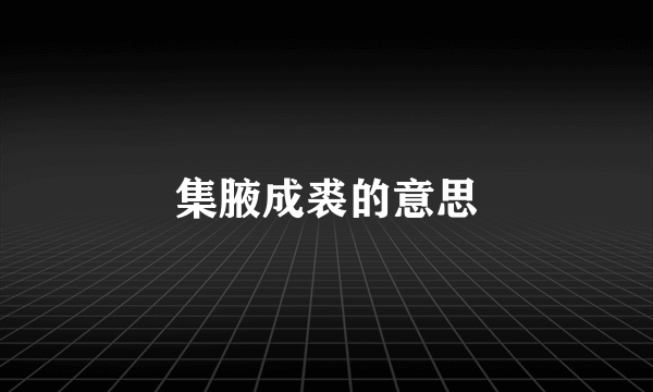 集腋成裘的意思