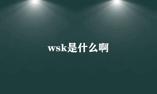 wsk是什么啊