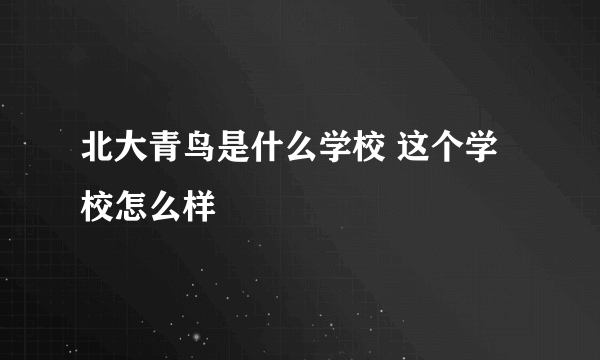 北大青鸟是什么学校 这个学校怎么样