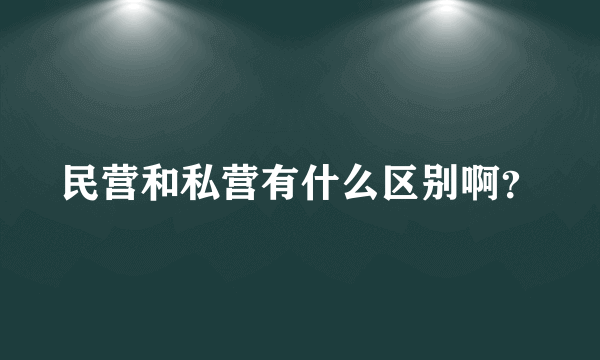 民营和私营有什么区别啊？