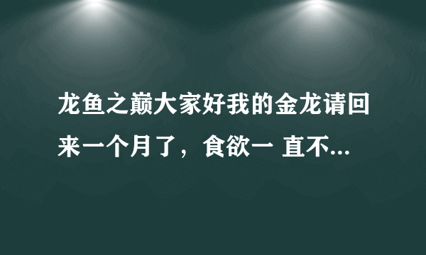 龙鱼之巅大家好我的金龙请回来一个月了，食欲一 直不好有时吃虾还吐出来，大侠们帮帮我谢谢